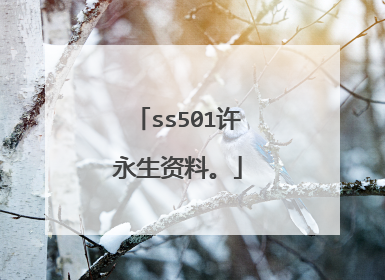 ss501许永生资料。