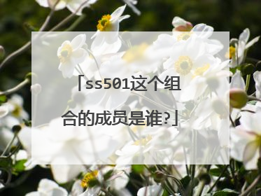 ss501这个组合的成员是谁?