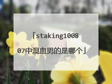 staking100807中混血男的是哪个