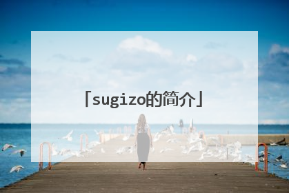 sugizo的简介