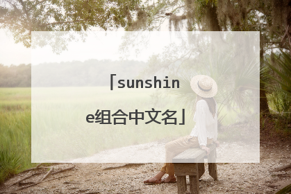 sunshine组合中文名