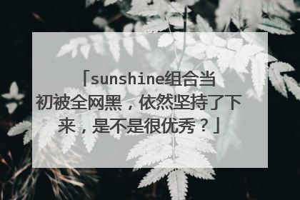sunshine组合当初被全网黑，依然坚持了下来，是不是很优秀？