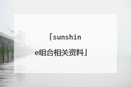 sunshine组合相关资料