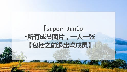super Junior所有成员图片，一人一张【包括之前退出噶成员】