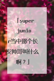 super junior当中那个长发帅哥叫什么啊？