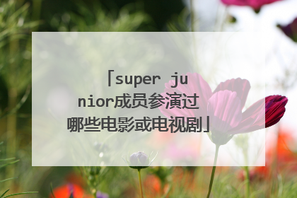 super junior成员参演过哪些电影或电视剧