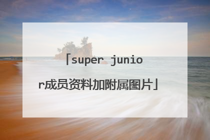 super junior成员资料加附属图片