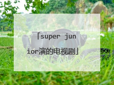 super junior演的电视剧