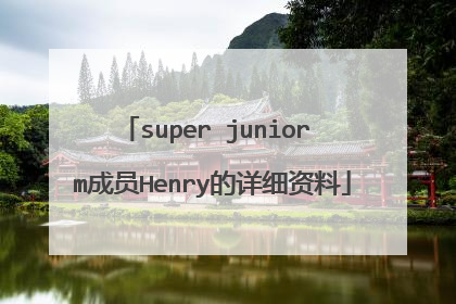 super junior m成员Henry的详细资料