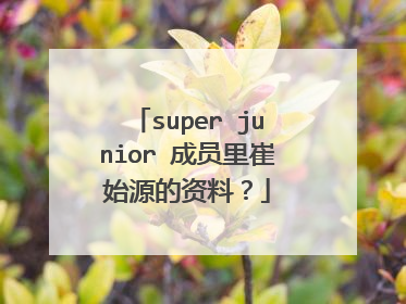 super junior 成员里崔始源的资料?