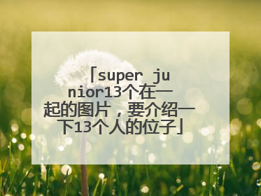 super junior13个在一起的图片,要介绍一下13个人的位子