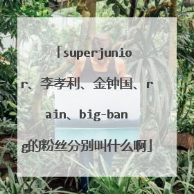 superjunior、李孝利、金钟国、rain、big-bang的粉丝分别叫什么啊