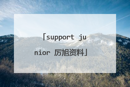 support junior 厉旭资料