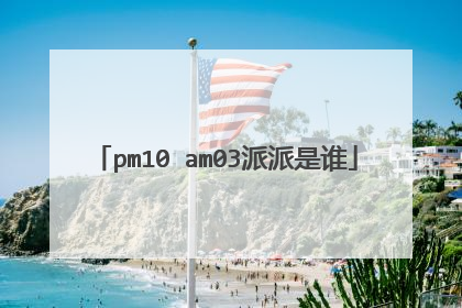 pm10 am03派派是谁