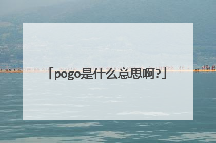 pogo是什么意思啊?
