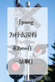 pong为什么没有和bee在一块啊