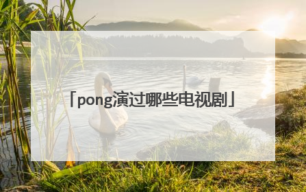 pong演过哪些电视剧