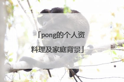 pong的个人资料理及家庭背景