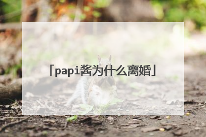 papi酱为什么离婚