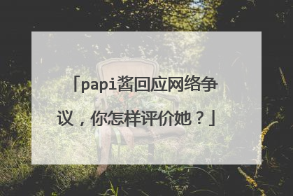 papi酱回应网络争议,你怎样评价她?