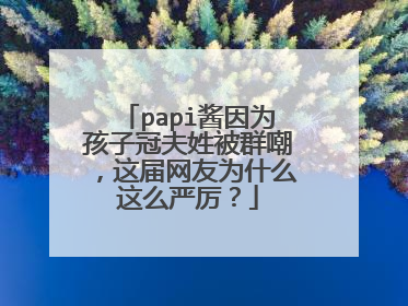papi酱因为孩子冠夫姓被群嘲,这届网友为什么这么严厉?