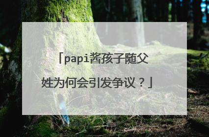 papi酱孩子随父姓为何会引发争议?