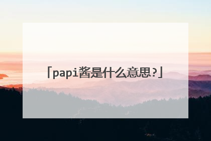 papi酱是什么意思?