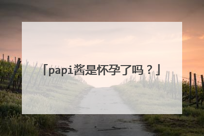 papi酱是怀孕了吗?