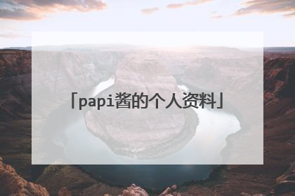 papi酱的个人资料