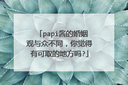 papi酱的婚姻观与众不同，你觉得有可取的地方吗?