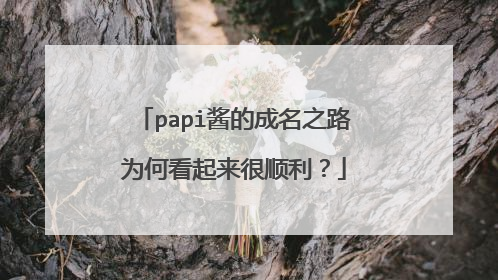 papi酱的成名之路为何看起来很顺利?