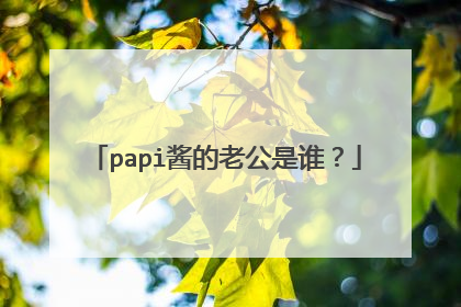papi酱的老公是谁?