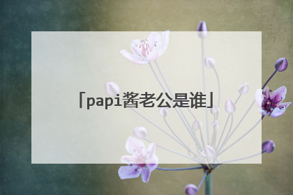 papi酱老公是谁