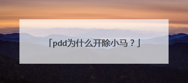 pdd为什么开除小马？