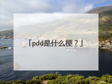 pdd是什么梗?