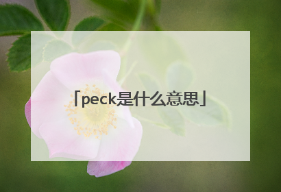 peck是什么意思