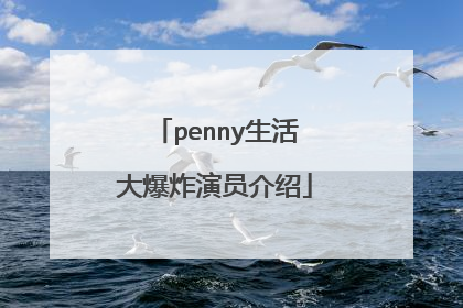 penny生活大爆炸演员介绍