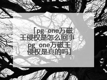 pg one万磁王侵权是怎么回事 pg one万磁王侵权是真的吗