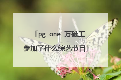 pg one 万磁王参加了什么综艺节目