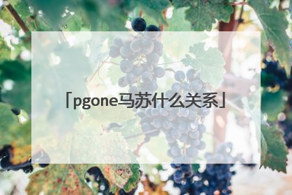 pgone马苏什么关系