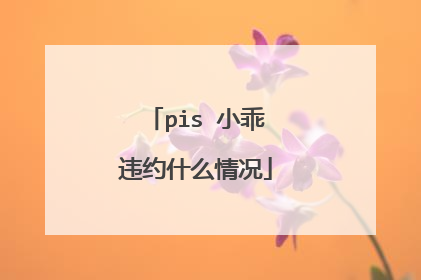 pis 小乖违约什么情况