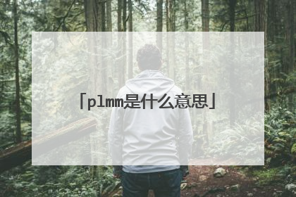 plmm是什么意思
