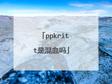 ppkritt是混血吗