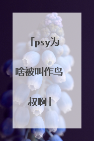 psy为啥被叫作鸟叔啊