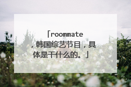 roommate,韩国综艺节目,具体是干什么的。