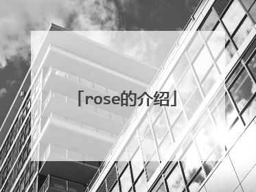 rose的介绍