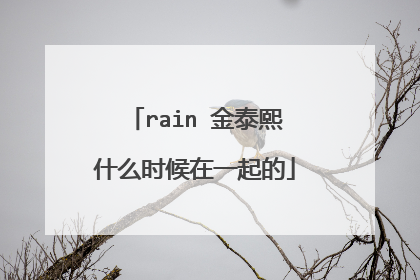 rain 金泰熙什么时候在一起的