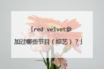 red velvet参加过哪些节目（综艺）？