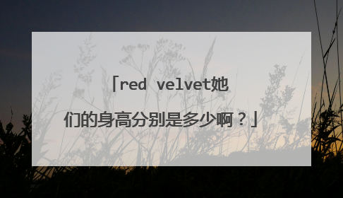 red velvet她们的身高分别是多少啊？