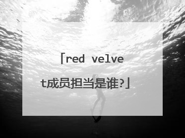 red velvet成员担当是谁?